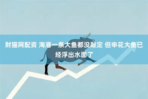 财猫网配资 海港一条大鱼都没敲定 但申花大鱼已经浮出水面了